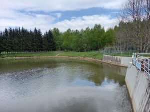 Črpališče Lič